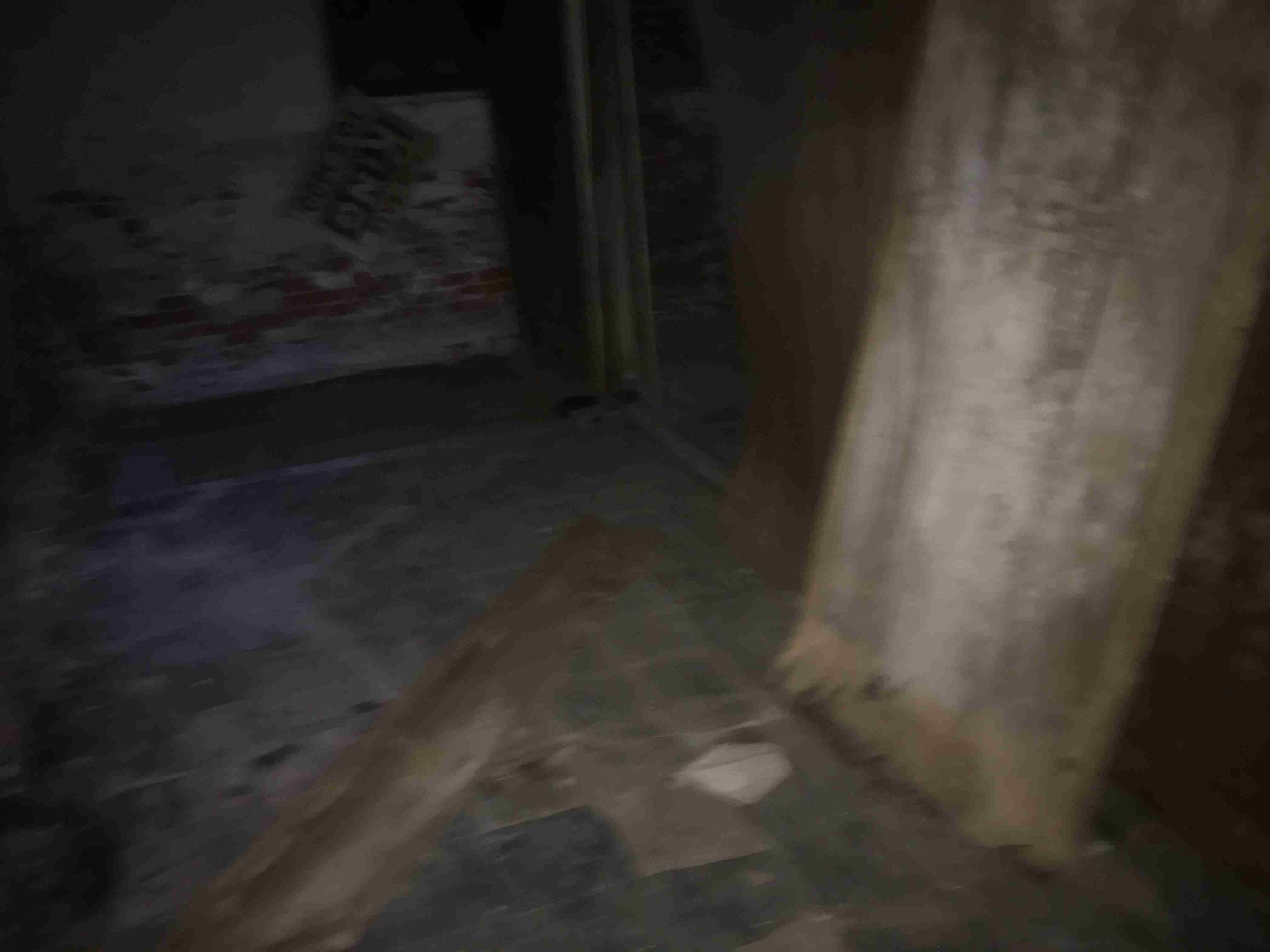 Photo Nov 04, 5 30 05 PM.jpg